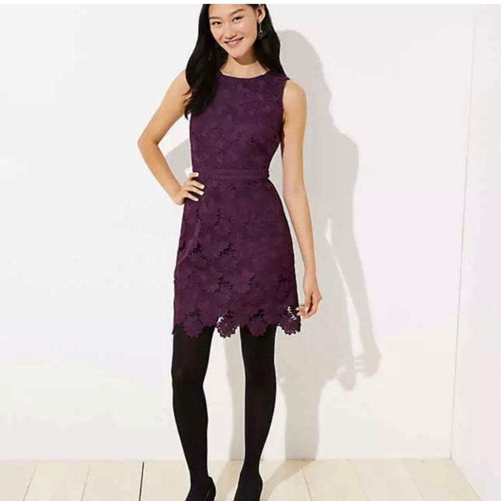 LOFT Elegant Purple Lace Dress